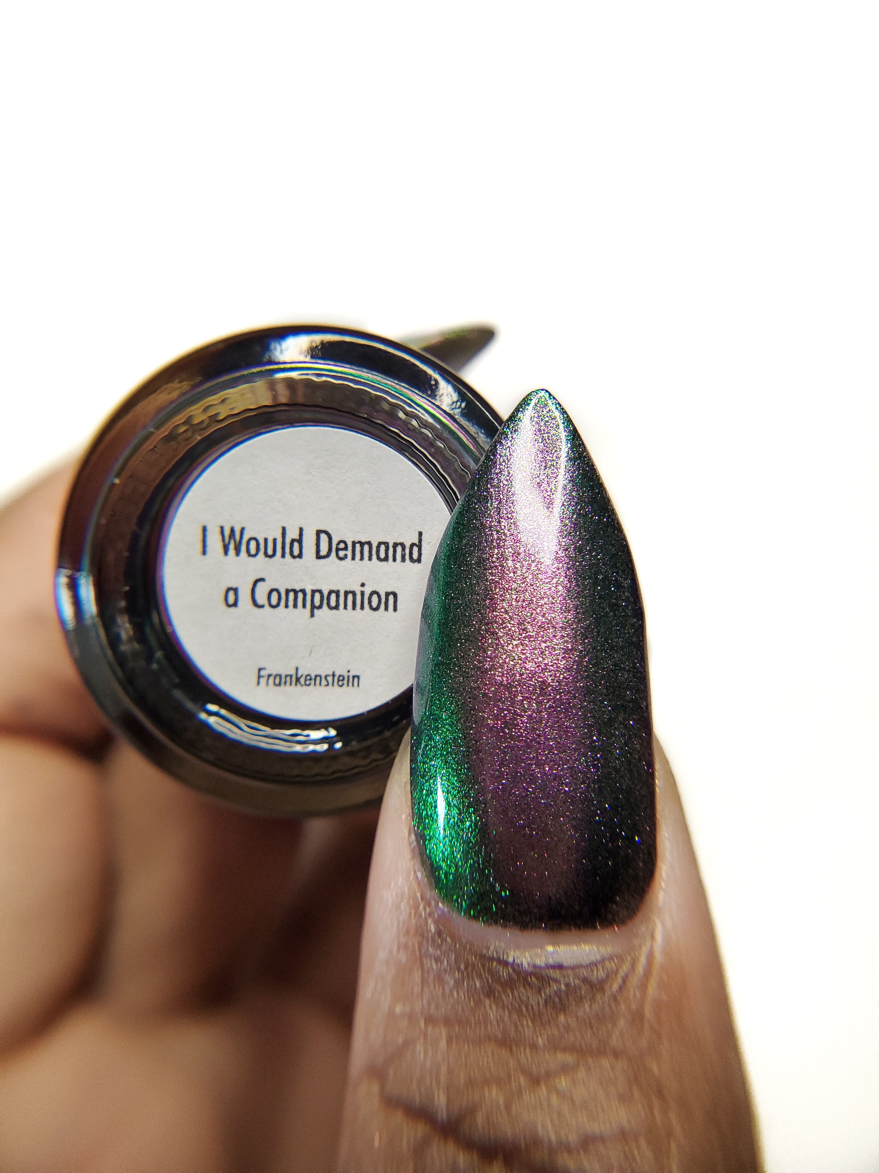 I Would Demand a Companion - Image 30